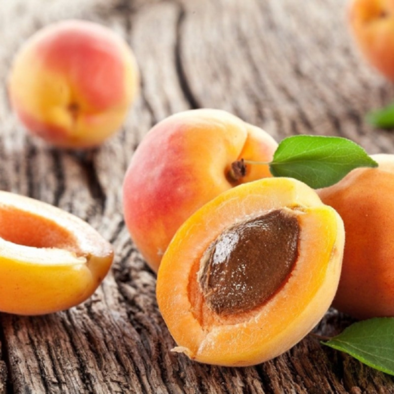 APRICOT OIL