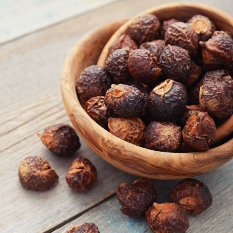 INDIAN SOAPNUT