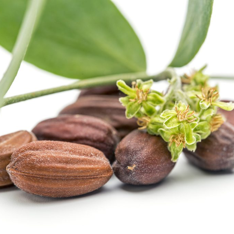 JOJOBA SEED OIL
