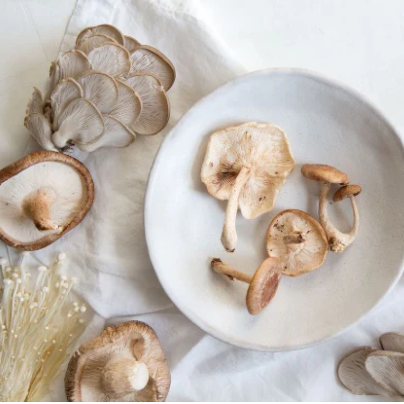 MUSHROOM EXTRACT