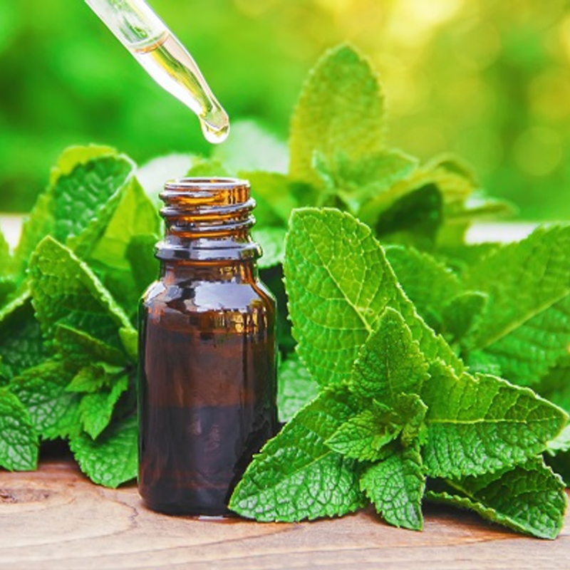 PEPPERMINT OIL
