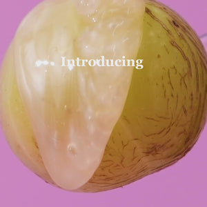 Rich Roots Shampoo & Conditioner Set