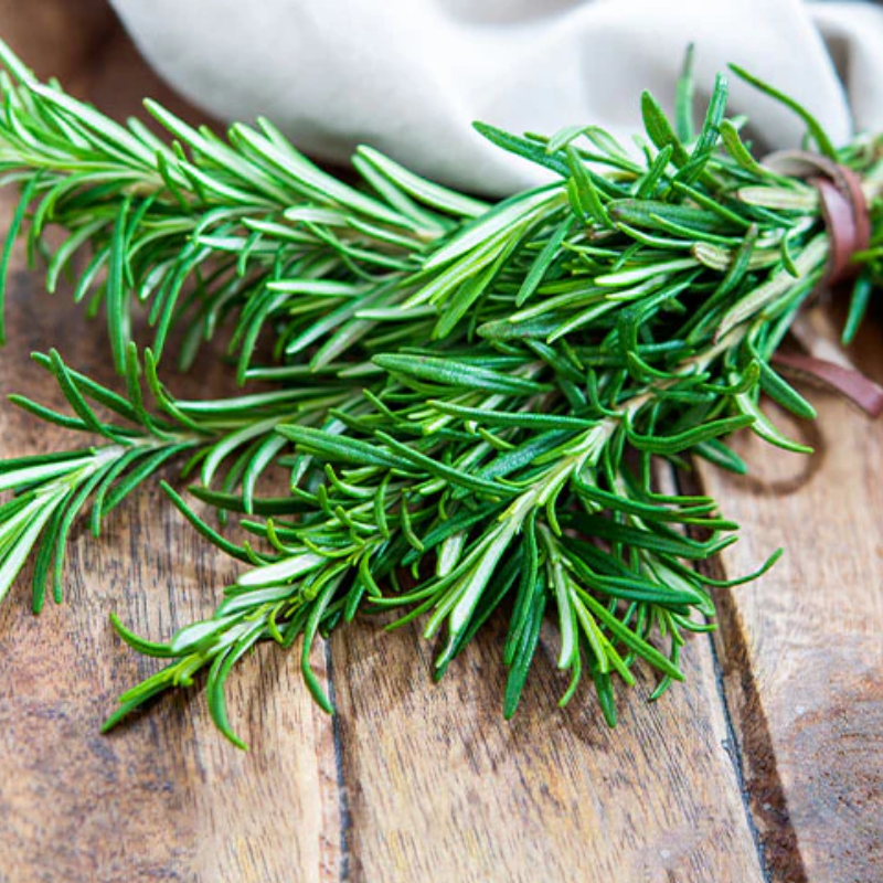 ROSEMARY OIL
