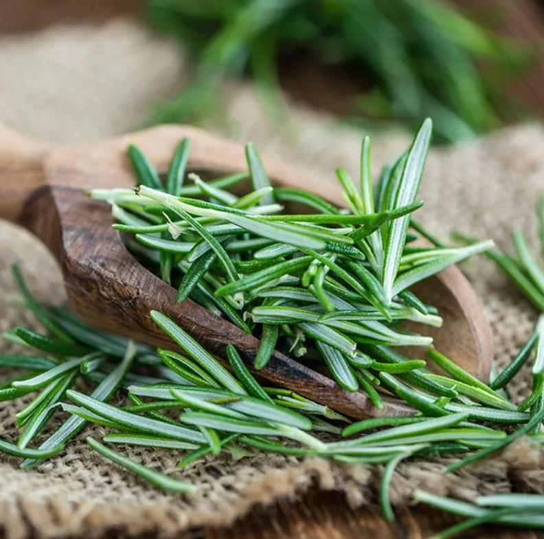 Do I need to dilute Rosemary Oil?