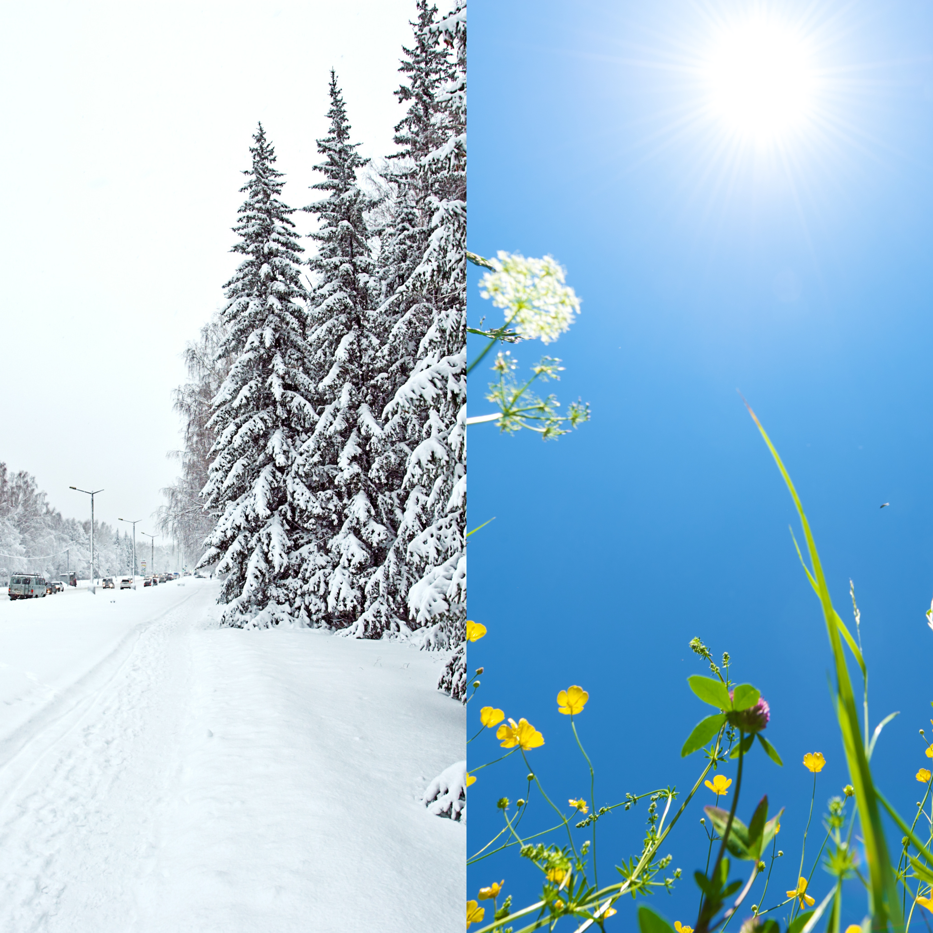 Winter Skin vs. Summer Skin: Adapting Your Routine for Eczema & Psoriasis