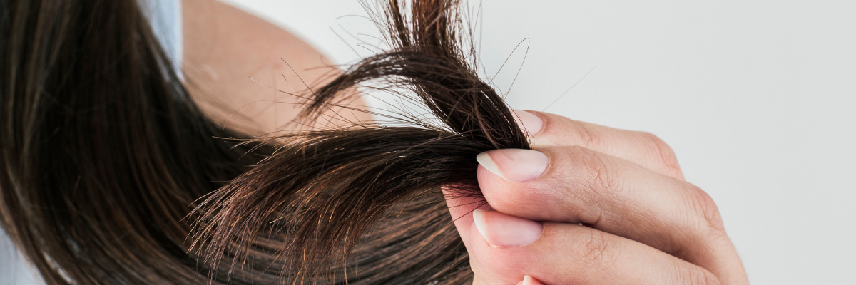 Damaged Hair