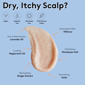 Hair & Scalp Reset Bundle