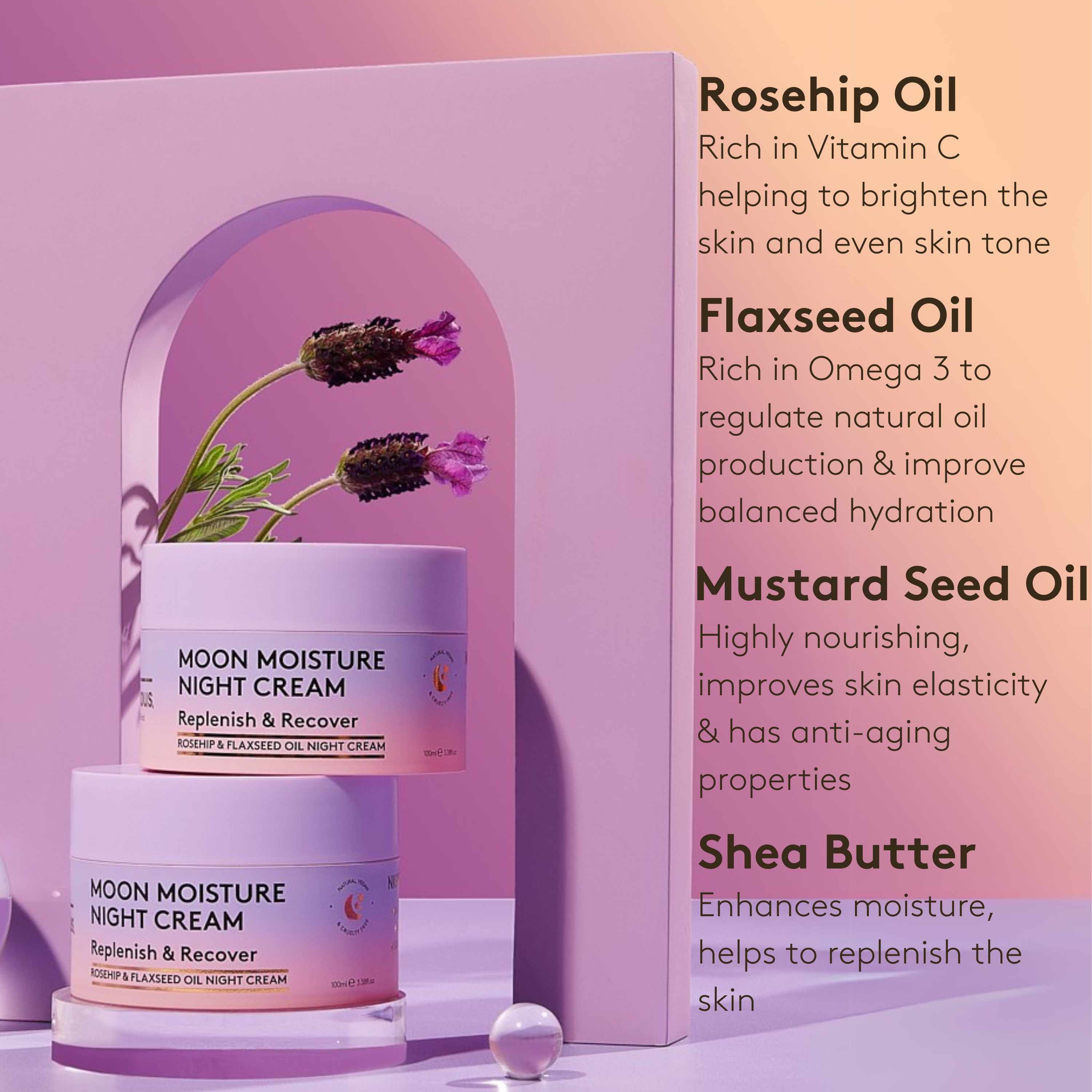 Moon Moisture Night Cream